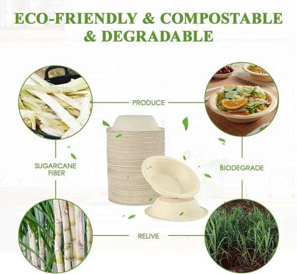 Say goodbye to “white pollution”. What’s behind the 90-day natural-returning sugarcane bagasse tableware?