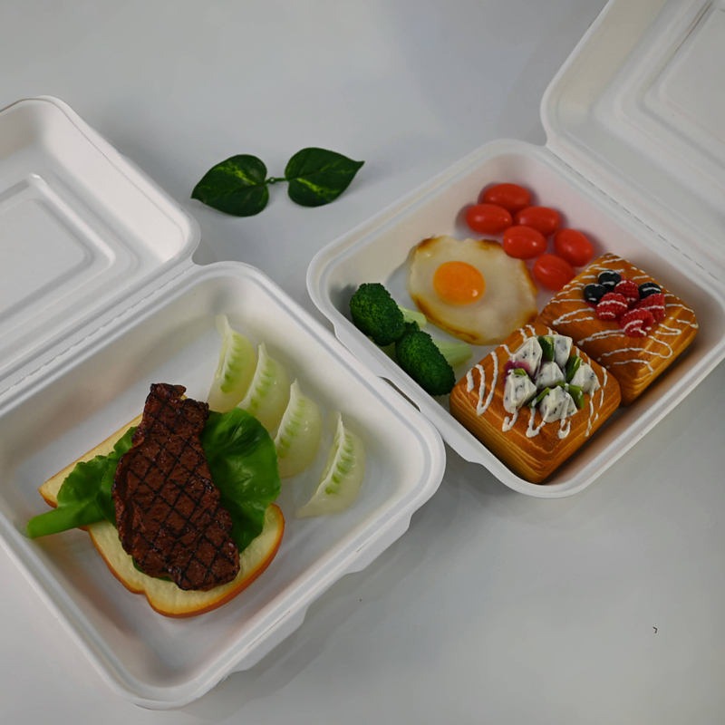 sugarcane bagasse tableware11 1